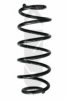 SPIDAN 86841 Coil Spring